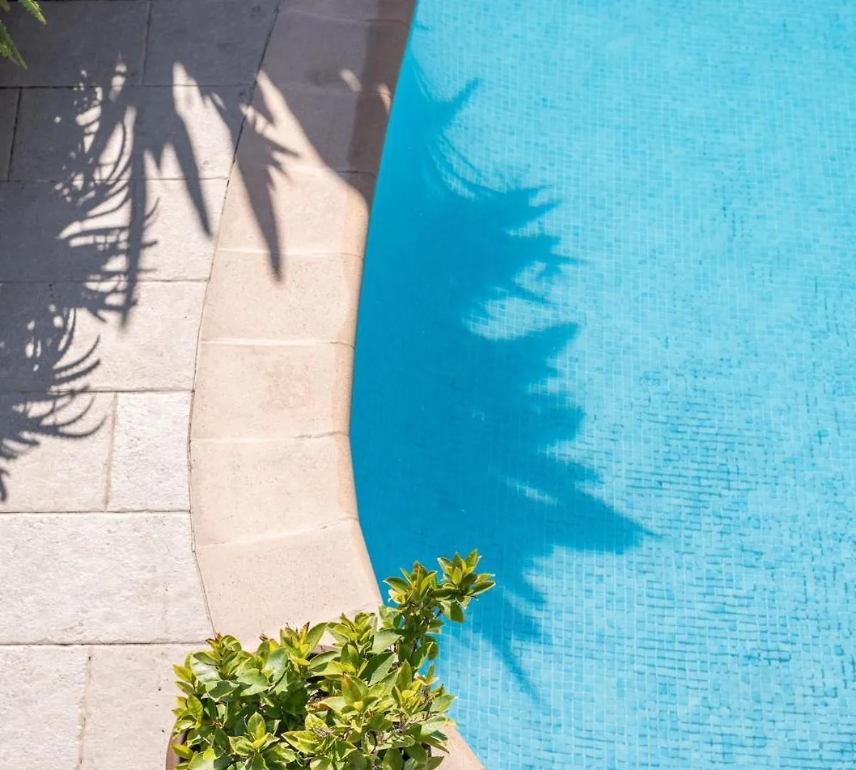 Bas De Villa Plus Piscine Vue Epoustouflante ヴィルフランシュ・シュル・メール 0*,